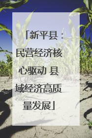 新平县：民营经济核心驱动 县域经济高质量发展