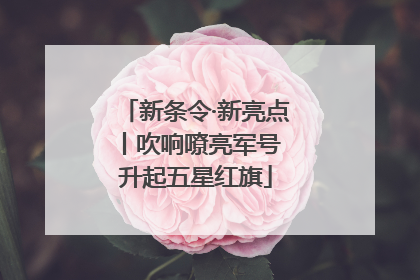新条令·新亮点丨吹响嘹亮军号 升起五星红旗