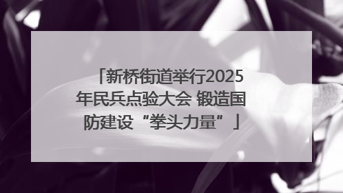 新桥街道举行2025年民兵点验大会 锻造国防建设“拳头力量”