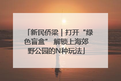 新民侨梁｜打开“绿色盲盒” 解锁上海郊野公园的N种玩法