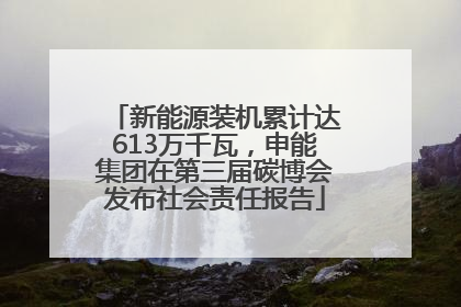 新能源装机累计达613万千瓦，申能集团在第三届碳博会发布社会责任报告