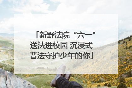 新野法院“六一”送法进校园 沉浸式普法守护少年的你