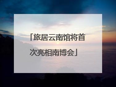 旅居云南馆将首次亮相南博会