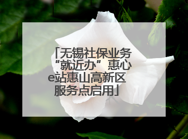 无锡社保业务“就近办”惠心e站惠山高新区服务点启用