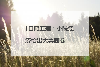 日照五莲：小院经济绘出大美画卷