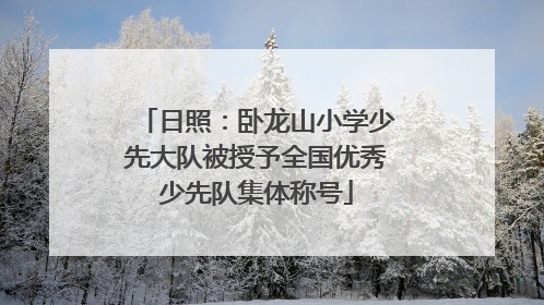 日照：卧龙山小学少先大队被授予全国优秀少先队集体称号