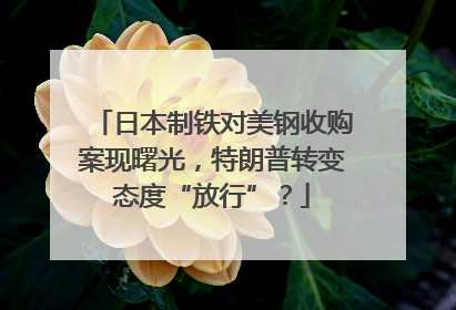 日本制铁对美钢收购案现曙光，特朗普转变态度“放行”？