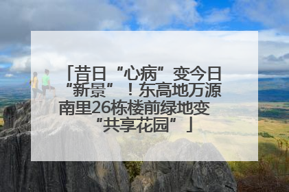 昔日“心病”变今日“新景”！东高地万源南里26栋楼前绿地变“共享花园”