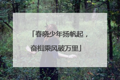 春晓少年扬帆起，奋楫乘风破万里
