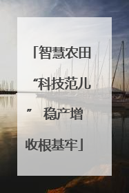 智慧农田“科技范儿” 稳产增收根基牢