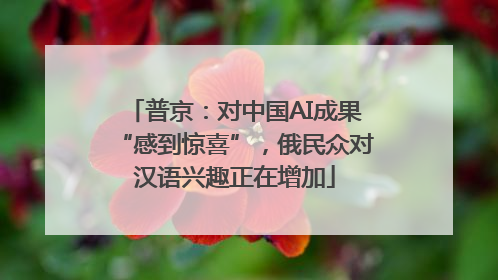 普京：对中国AI成果“感到惊喜”，俄民众对汉语兴趣正在增加