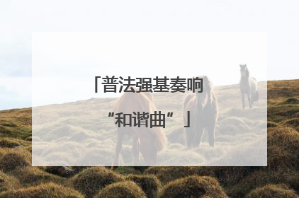 普法强基奏响“和谐曲”