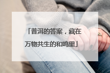 普洱的答案，藏在万物共生的和鸣里