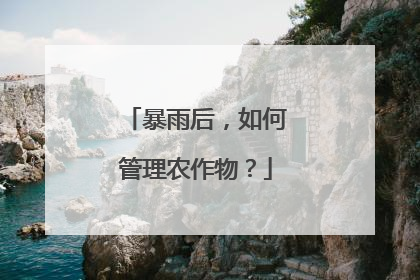 暴雨后，如何管理农作物？
