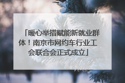 暖心举措赋能新就业群体！南京市网约车行业工会联合会正式成立