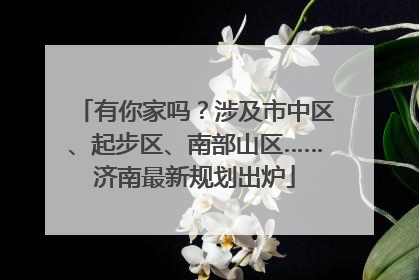 有你家吗？涉及市中区、起步区、南部山区……济南最新规划出炉
