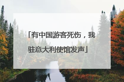 有中国游客死伤，我驻意大利使馆发声