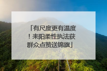 有尺度更有温度！耒阳柔性执法获群众点赞送锦旗