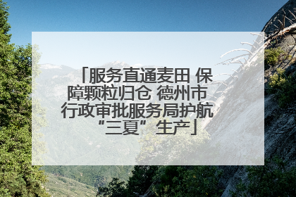 服务直通麦田 保障颗粒归仓 德州市行政审批服务局护航“三夏”生产
