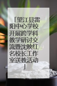 望江县雷阳中心学校开展跨学科教学研讨交流暨沈映红名校长工作室送教活动