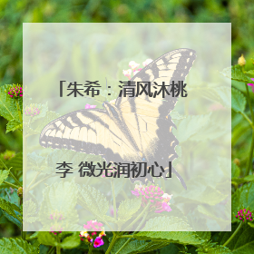 朱希：清风沐桃李 微光润初心
