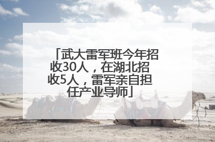 武大雷军班今年招收30人，在湖北招收5人，雷军亲自担任产业导师