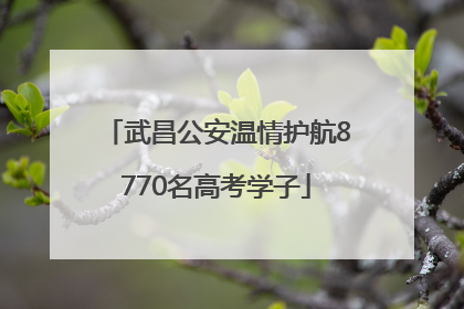 武昌公安温情护航8770名高考学子