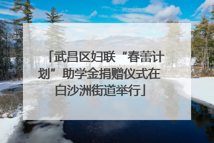 武昌区妇联“春蕾计划”助学金捐赠仪式在白沙洲街道举行