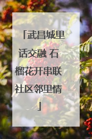 武昌城里话交融 石榴花开串联社区邻里情