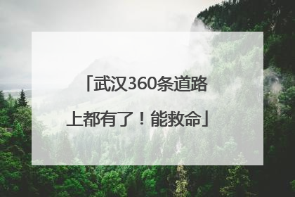 武汉360条道路上都有了！能救命