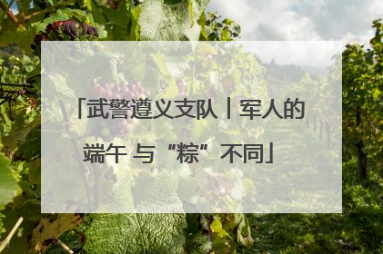 武警遵义支队︱军人的端午 与“粽”不同