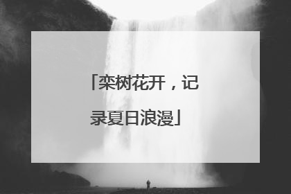 栾树花开，记录夏日浪漫