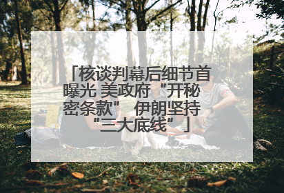 核谈判幕后细节首曝光 美政府“开秘密条款” 伊朗坚持“三大底线”