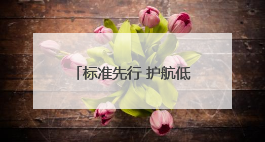 标准先行 护航低空——南京市低空经济标准化技术委员会成立大会召开