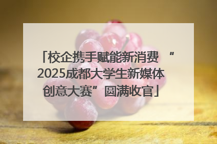 校企携手赋能新消费 “2025成都大学生新媒体创意大赛”圆满收官