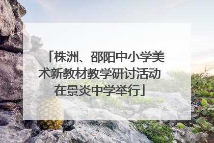 株洲、邵阳中小学美术新教材教学研讨活动在景炎中学举行