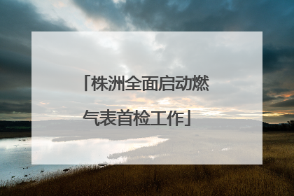 株洲全面启动燃气表首检工作