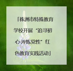 株洲市特殊教育学校开展“追寻初心·淬炼党性”红色教育实践活动