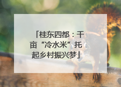 桂东四都：千亩“冷水米”托起乡村振兴梦