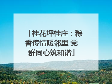 桂花坪桂庄：粽香传情暖邻里 党群同心筑和谐