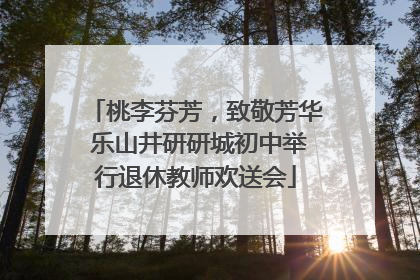 桃李芬芳，致敬芳华 乐山井研研城初中举行退休教师欢送会