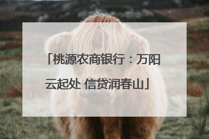 桃源农商银行：万阳云起处 信贷润春山