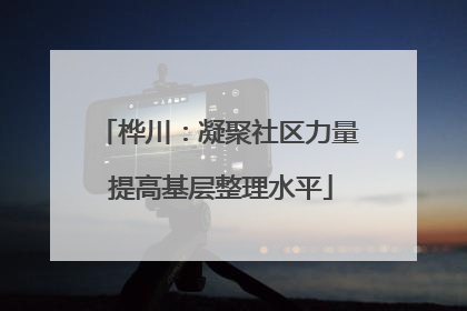 桦川：凝聚社区力量 提高基层整理水平