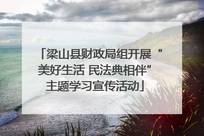 梁山县财政局组开展“美好生活 民法典相伴”主题学习宣传活动