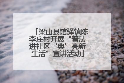 梁山县馆驿镇陈李庄村开展“普法进社区‘典’亮新生活”宣讲活动