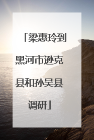 梁惠玲到黑河市逊克县和孙吴县调研