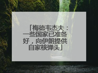 梅德韦杰夫：一些国家已准备好，向伊朗提供自家核弹头