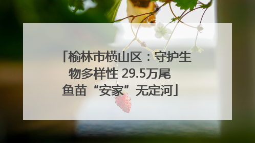 榆林市横山区：守护生物多样性 29.5万尾鱼苗“安家”无定河