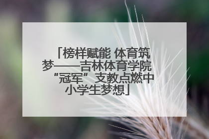 榜样赋能 体育筑梦——吉林体育学院“冠军”支教点燃中小学生梦想