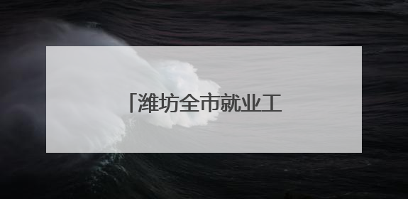 潍坊全市就业工作推进会议召开